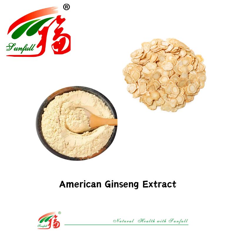 Sunfull Manufacturer campione gratuito Medicina tradizionale cinese HPLC organico 10% 80% Ginsenosidi Ginseng americano / Estratto di Ginseng coreano / Estratto di Ginseng Panax