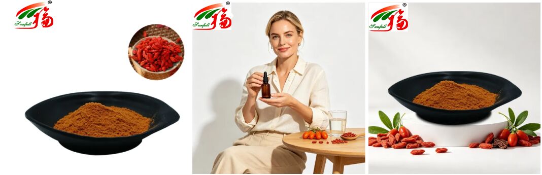 Supplementi alimentari naturali cinesi Antocianina 1-25% Polisaccaridi 10%-50% Estratto di licio barbaro Estratto di bacche di lupo/estratto di bacche di goji