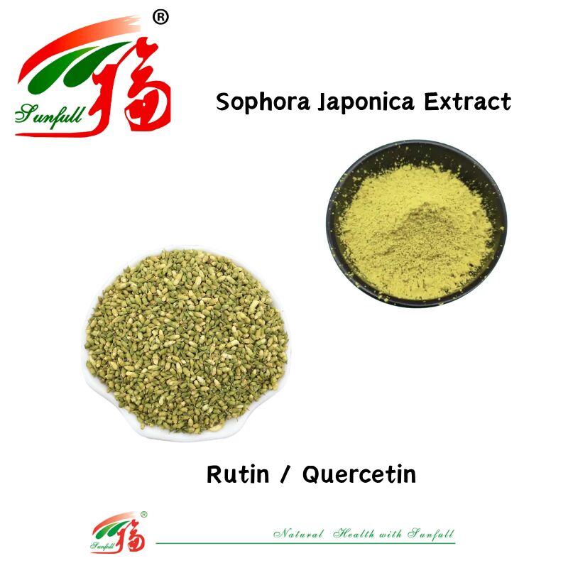 Conforme alle norme europee Salute cardiovascolare Supplementi alimentari Quercetina 95% Rutin NF11 95% Sophora Japonica Estratto