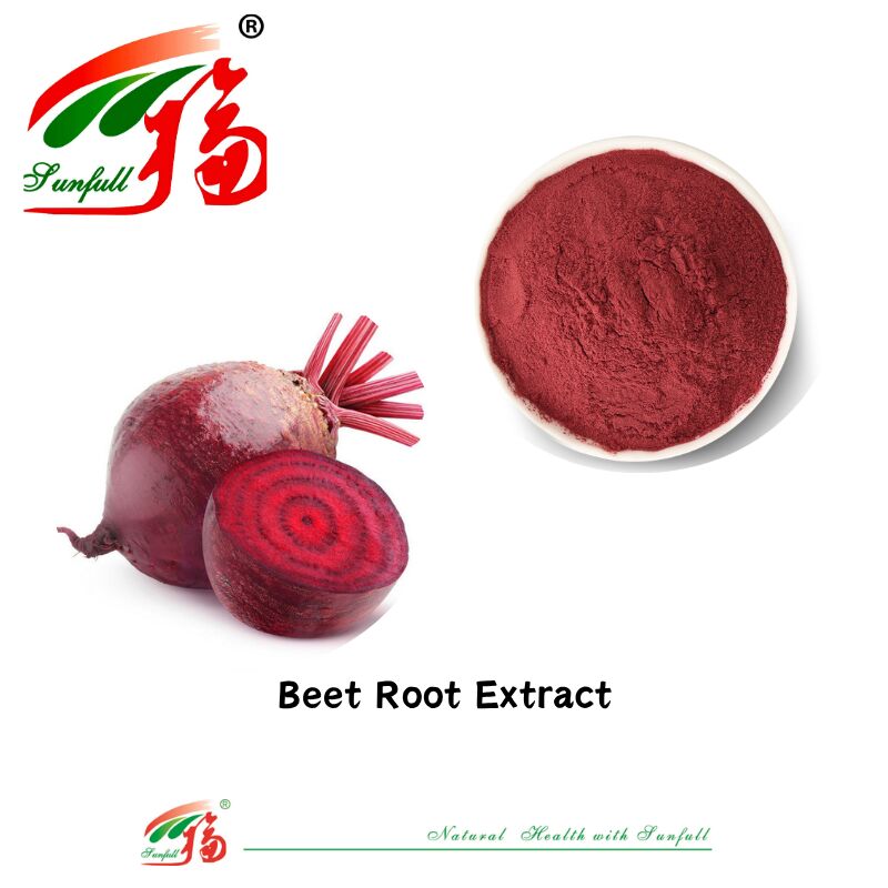 Estratto vegetale 100% naturale Pigmento naturale Organico Succo di radice di barbabietola fresca secca Estratto integratore di betanina Utilizzato in alimenti e bevande Estratto di radice di barbabietola