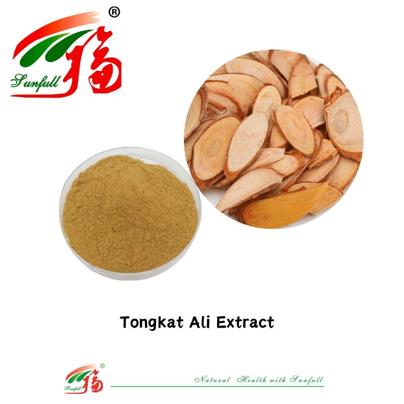 Hunan Sunfull Integratori nutrizionali di alta qualità Ingredienti naturali per la salute maschile Saw Palmetto/Shilajit/Ashawagandha/Epimedium/Maca//Estratto di Tongkat Ali