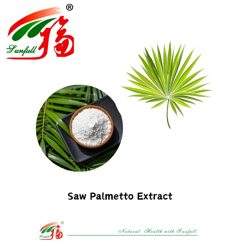 Hunan Sunfull Integratori nutrizionali di alta qualità Ingredienti naturali per la salute maschile Saw Palmetto/Shilajit/Ashawagandha/Epimedium/Maca//Estratto di Tongkat Ali