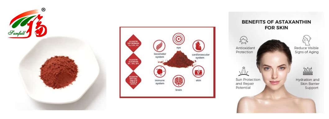 Sunfull Antiossidanti di qualità alimentare Fornitura sanitaria Alta qualità 1%-10% Estratto naturale di Hematococcus Pluvialis/Astaxanthin in polvere