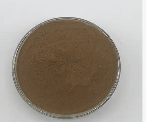 ISO/Kosher Promuove la digestione Estratto di semi di Cassia di qualità alimentare 10: 1 / 20% HPLC Sennosides Estratto di foglie di Senna