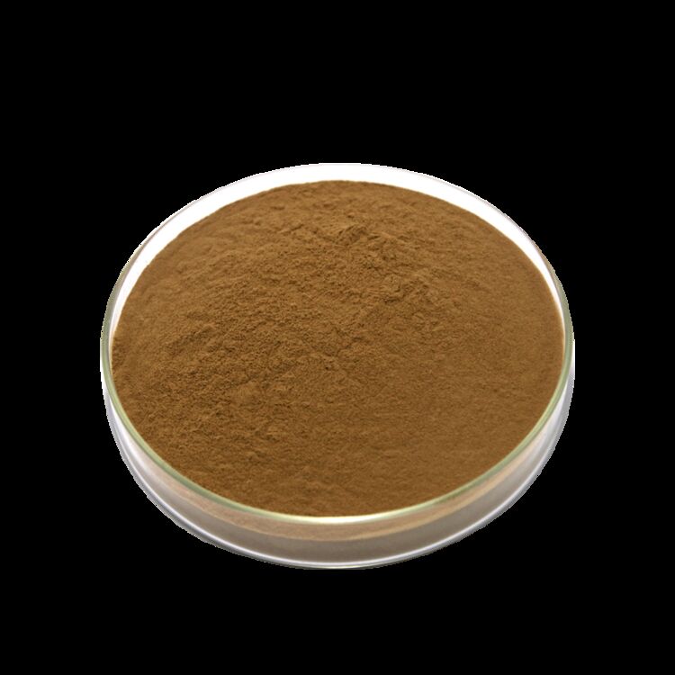 ISO/Kosher Promuove la digestione Estratto di semi di Cassia di qualità alimentare 10: 1 / 20% HPLC Sennosides Estratto di foglie di Senna