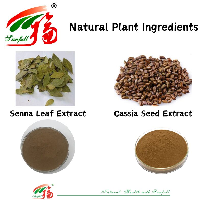 ISO/Kosher Promuove la digestione Estratto di semi di Cassia di qualità alimentare 10: 1 / 20% HPLC Sennosides Estratto di foglie di Senna