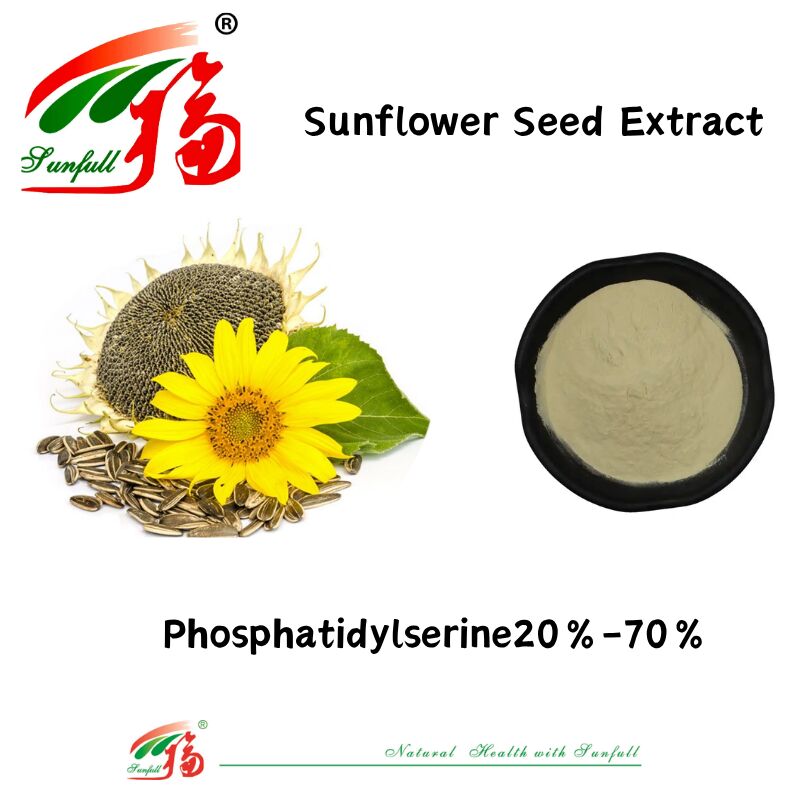 Prodotto di fabbrica all'ingrosso Supplemento nutrizionale Perdita di peso Estratto di semi di girasole 20%-70% fosfatidilserina