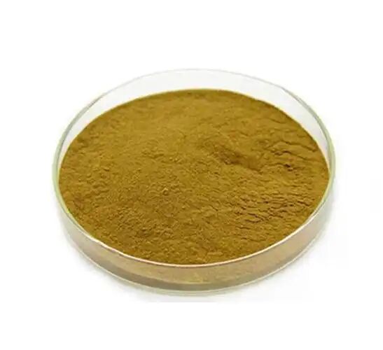 Supplementi nutrizionali di qualità alimentare/alimentare Estratto di Eucommia ulmoides/estratto di chicchi di caffè verde Acido clorogenico 5%-98%