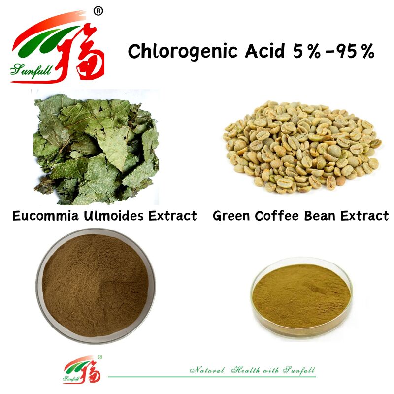 Supplementi nutrizionali di qualità alimentare/alimentare Estratto di Eucommia ulmoides/estratto di chicchi di caffè verde Acido clorogenico 5%-98%