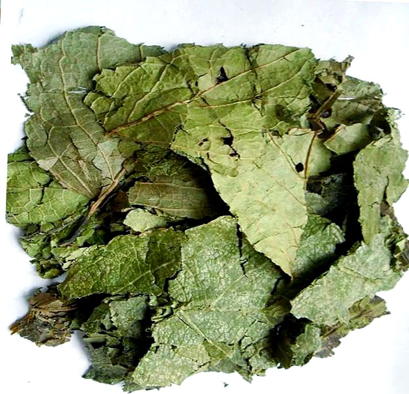 Supplementi nutrizionali di qualità alimentare/alimentare Estratto di Eucommia ulmoides/estratto di chicchi di caffè verde Acido clorogenico 5%-98%
