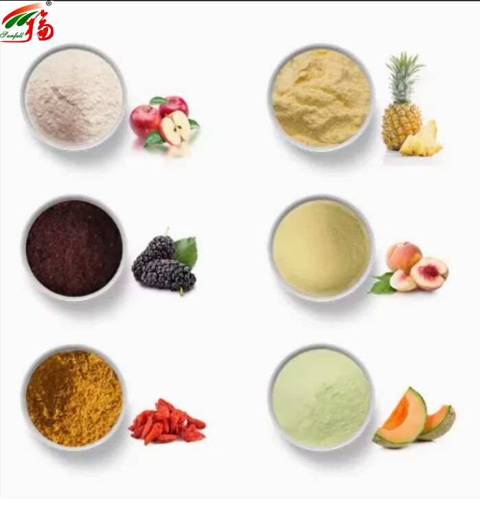 Frutta Ingredienti Salute Alimenti di alta qualità buon sapore e solubilità in acqua Bevande Polvere liofilizzata Polvere di frutta diversa