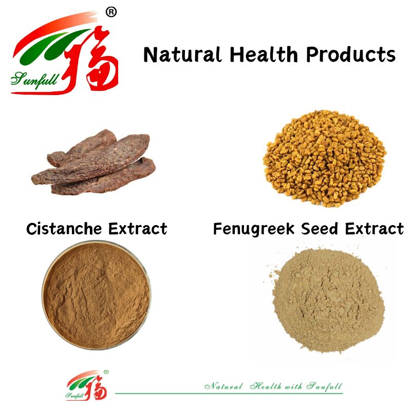 Promuovere la salute degli uomini Estratto naturale di semi di fieno greco di alta qualità Saponine 20% / Glicosidi feniletanoidi 40% / Echinacoside 8% Estratto di cistancia