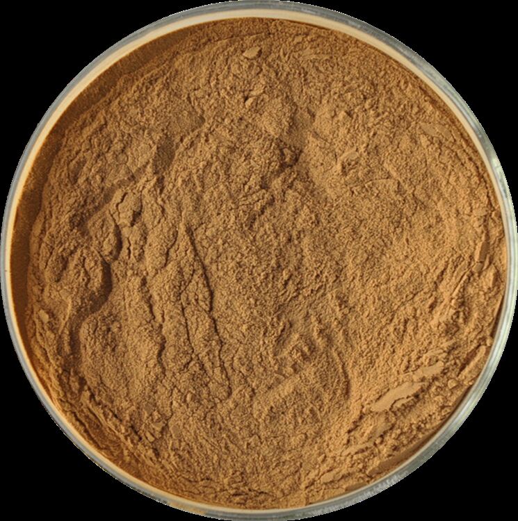 Promuovere la salute degli uomini Estratto naturale di semi di fieno greco di alta qualità Saponine 20% / Glicosidi feniletanoidi 40% / Echinacoside 8% Estratto di cistancia