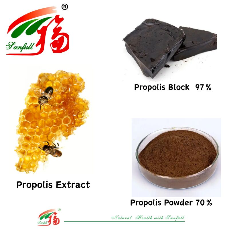 Integratori alimentari/farmaceutici Ricchi di flavonoidi 10%-20% Blocco di propoli idrosolubile 97% / Polvere di propoli 70% Estratto di propoli