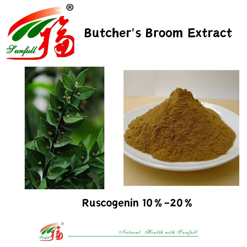 Estratto di radice di Ruscus Aculeatus di alta qualità a prezzo di fabbrica 10%-20% Ruscogenina Estratto di scopa da macellaio