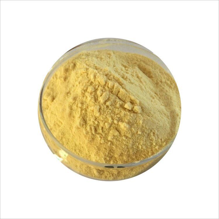 Hunan Sunfull Best Price Supplementi nutrizionali ISO/Kosher Kavalactoni 10%-30% Polvere di estratto di kava per integratori
