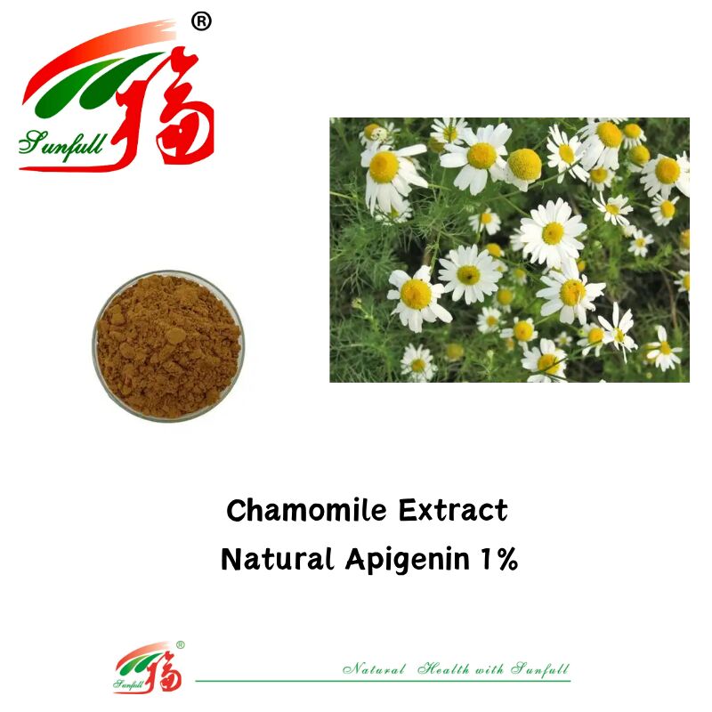 Estratto di semi di sedano 100% naturale 98% Apigenina in polvere CAS 520-36-5 Apigenina di alta qualità 1% Estratto di camomilla