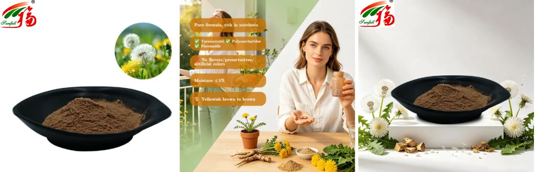 Estratto di foglie di dente di leone in polvere di erbe di tarassaco per uso alimentare Flavonoidi naturali 5%-10% Estratto di dente di leone biologico