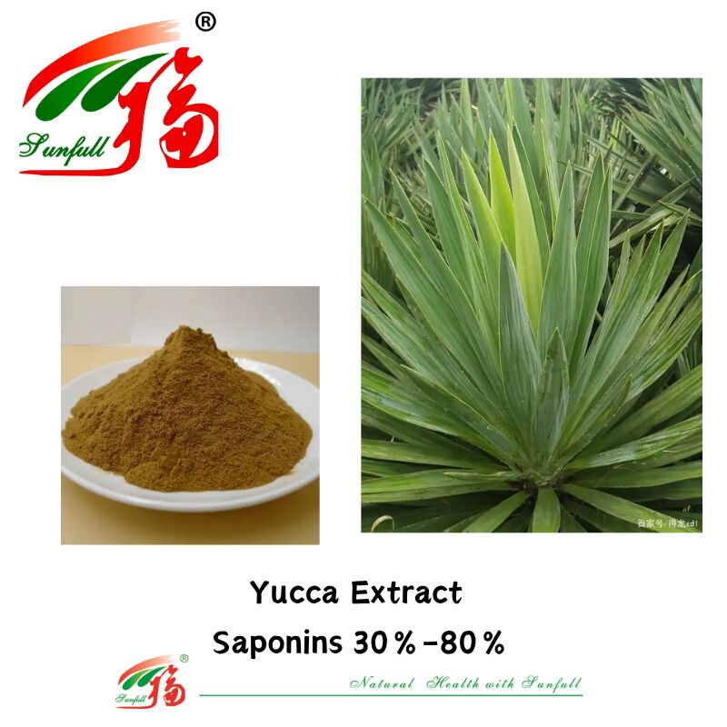 Il deodorante ISO/Kosher promuove la salute dell'intestino, l'ingrediente 10%-80% delle saponine dell'alimento per animali domestici, l'estratto di yucca