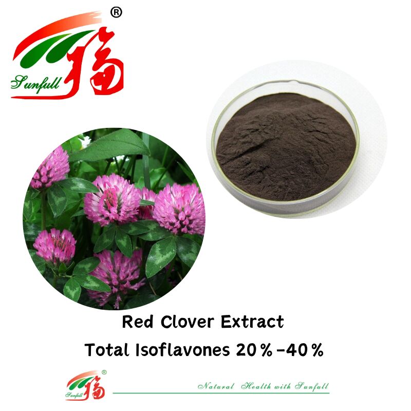 Hunan Sunfull per l'equilibrio ormonale e il sollievo Supplementi di salute puramente naturali Isoflavoni organici totali 20%-40% Estratto di trifoglio rosso