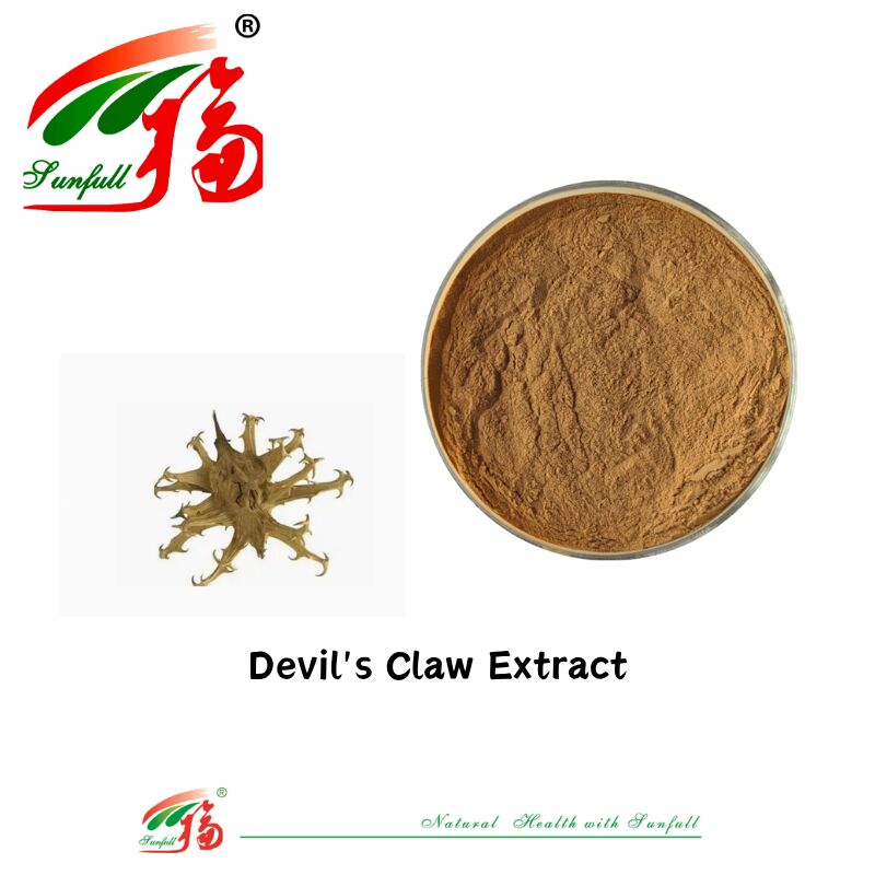 Naturale puro CAS 19210-12-9 Harpagophytum Procumbens Polvere 5% Harpagoside Devils Claw Extract