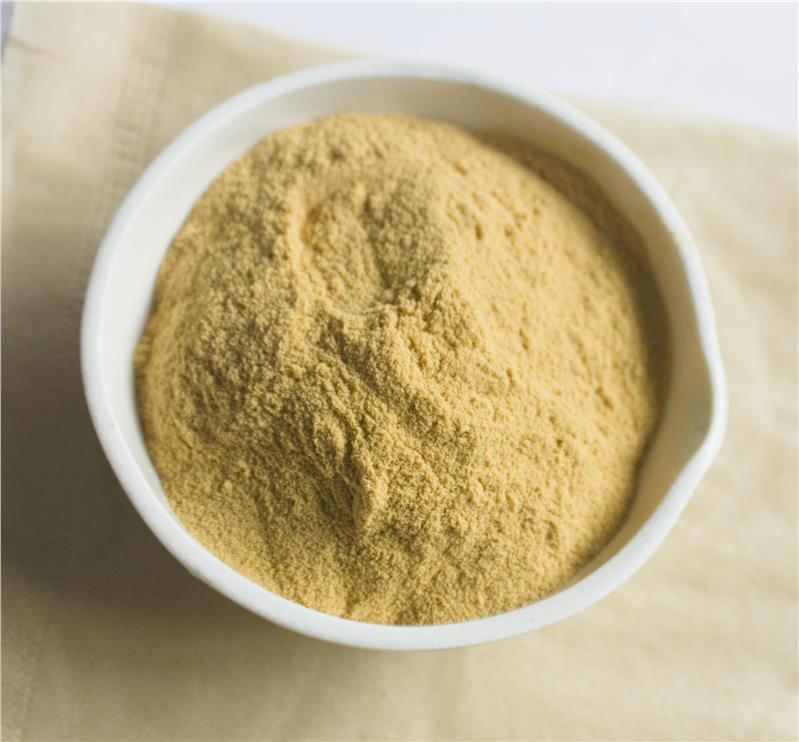 Integratori alimentari per emostasi del rifornimento di fabbrica 10% 40% 80% Notoginsenosidi Panax Notoginseng Estratto di radice