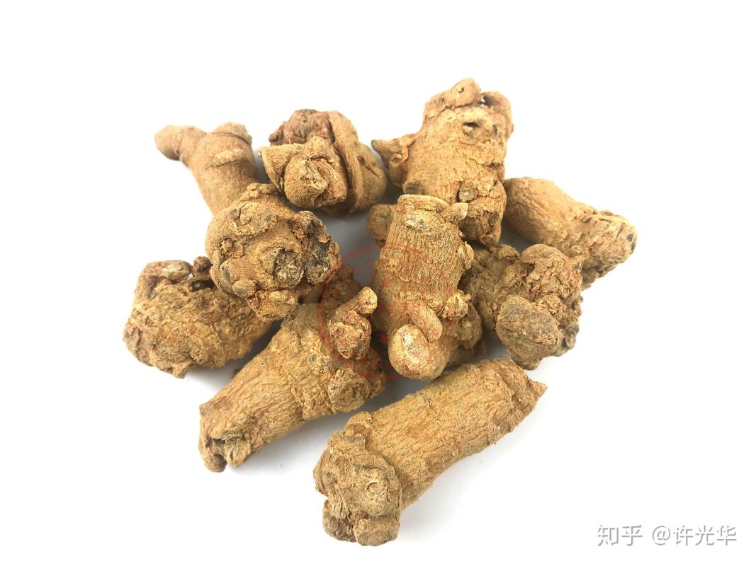 Integratori alimentari per emostasi del rifornimento di fabbrica 10% 40% 80% Notoginsenosidi Panax Notoginseng Estratto di radice
