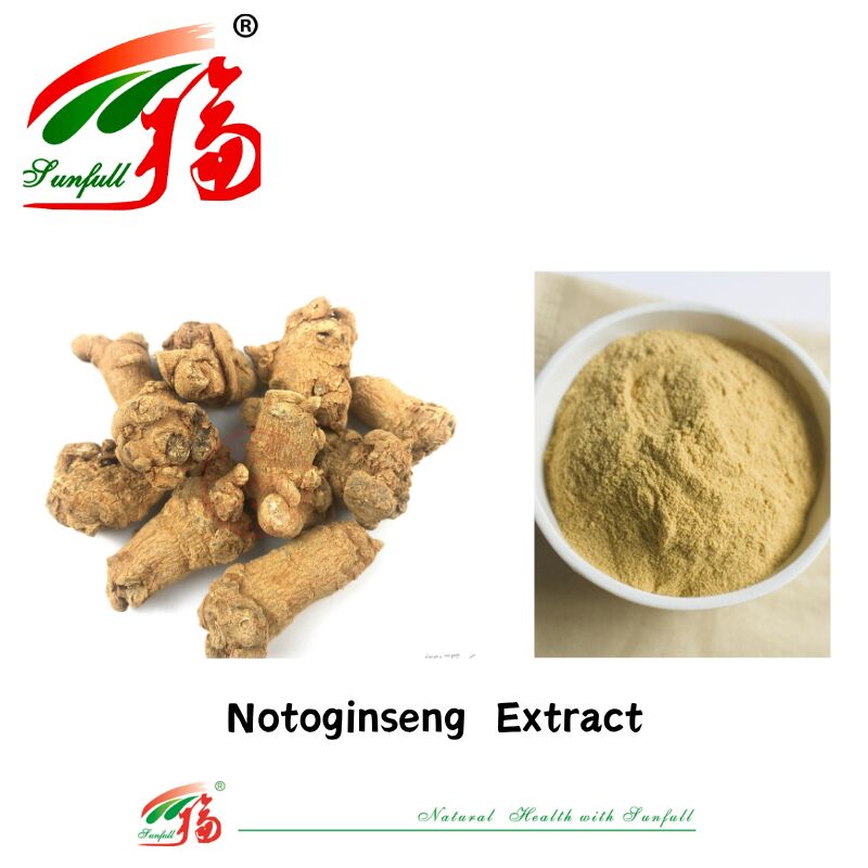 Integratori alimentari per emostasi del rifornimento di fabbrica 10% 40% 80% Notoginsenosidi Panax Notoginseng Estratto di radice