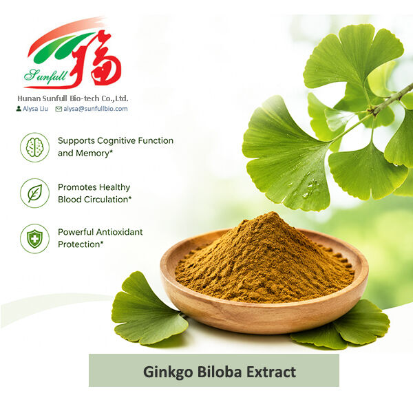 Estratto naturale di Ginkgo Biloba Cp/ USP/ Ep/ Idrosolubile Tipo per farmaci integratori