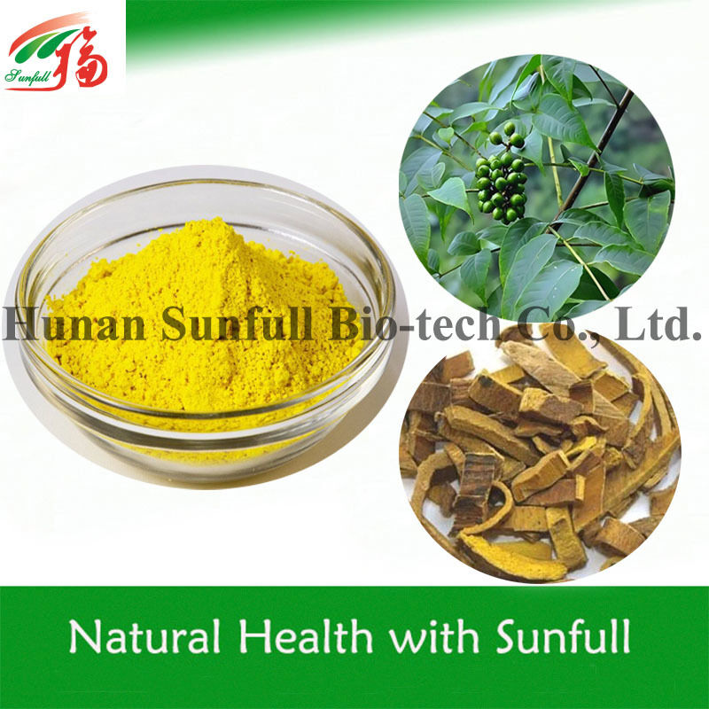 Estratto antibatterico Berberina hcl Polvere cristallina gialla di specie Berberis (Barberry) con numero CAS 633-65-8