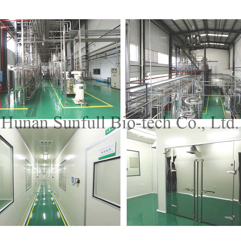 Berberina hcl 97% 98% Polvere Cristallina Gialla con Proprietà Antibatteriche e Antinfiammatorie da Estratto di Phellodendron chinense