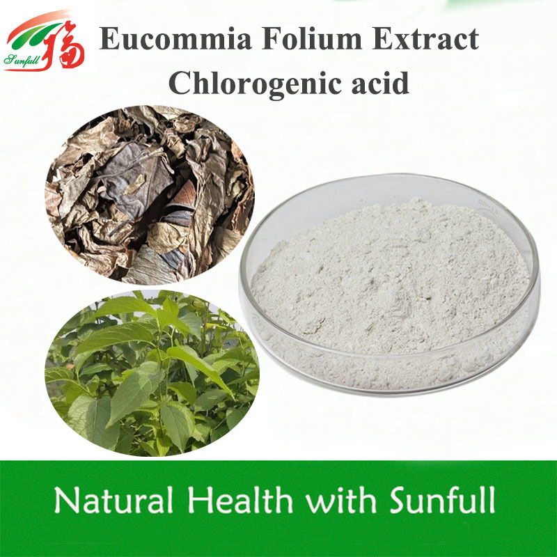 Estratto di Foglie di Eucommia Ulmoides ad Alta Purezza Acido Clorogenico | Specifiche 5%-99% Disponibili | Antiossidante Naturale