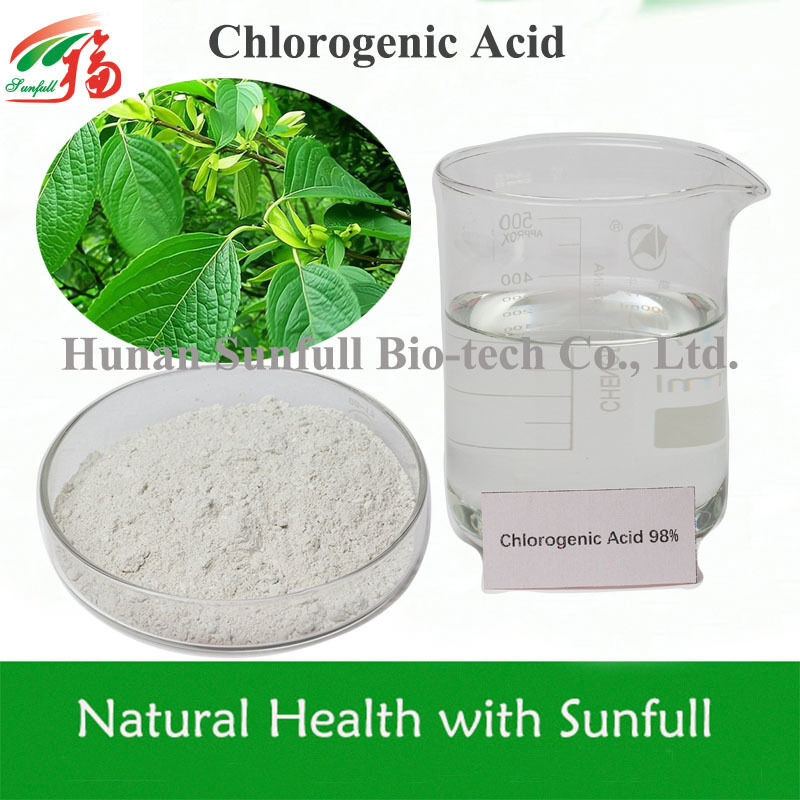 Antiossidante naturale Acidi clorogenici ad alta purezza per integratori di salute CAS 327-97-9