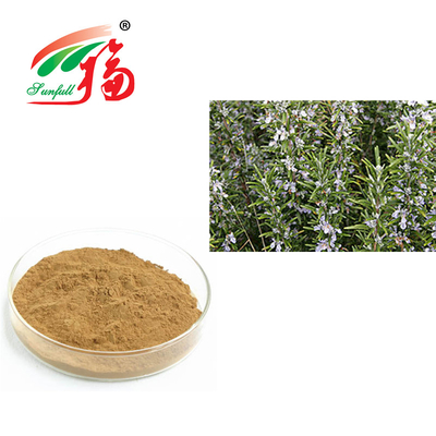 Acido di Rosemary Extract 30% Rosmarinic per il rosmarinus officinalis antinvecchiamento