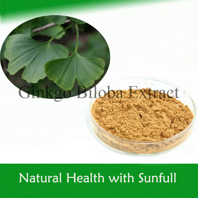 Estratto 100% naturale di Ginkgo Biloba per abbassare la pressione sanguigna