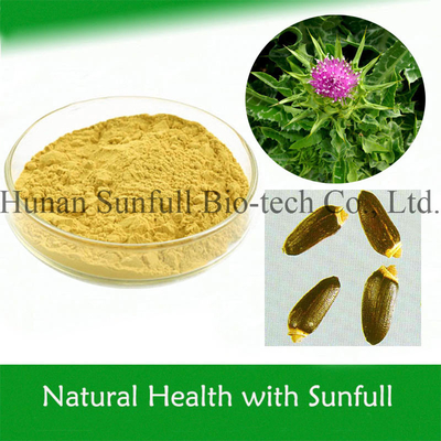 Estratto di cardo di latte naturale al 100% in polvere da semi di Silybum Marianum per la crescita delle cellule epatiche