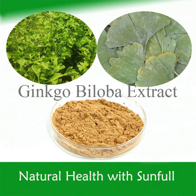 Estratto di foglie di Ginkgo Biloba 24/6 CAS 90045-36-6 Cp USP561 Ep EC396