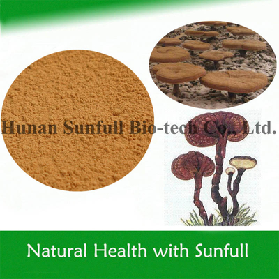 Polisaccaridi di funghi biologici Estratto di funghi Reishi per alimenti salutari