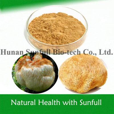 Extracto di criniera di leone in polvere di Hericium erinaceus organico per alimenti salutari
