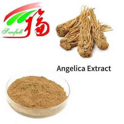 Estratto di Angelica 1% 1,5% Ligustilide 0,1% 0,3% Acido Ferulico Estratto di Dong Quai Cinese