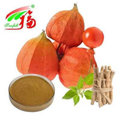 Withania Somnifera Sud Africa Withanolides 5% Estratto di radice di Ashwagandha Alimenti Prodotti sanitari