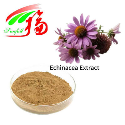 Echinacea Extract 4% Polifenoli 1% 4% Acido Cicorico Echinacoside Echinacea Purpurea Extract
