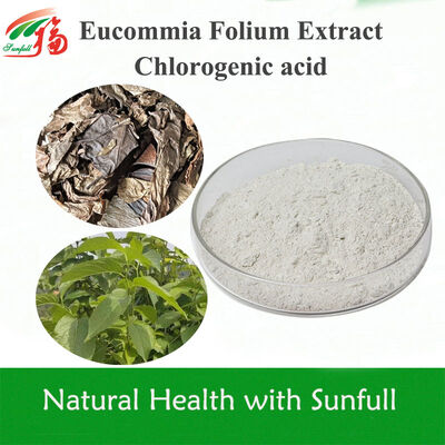 Estratto di Foglie di Eucommia Ulmoides ad Alta Purezza Acido Clorogenico | Specifiche 5%-99% Disponibili | Antiossidante Naturale