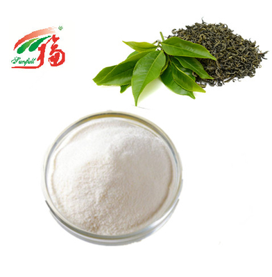 L'estratto CASCER del tè verde spolverizza il gallato di 98% EGCG Epigallocatechin per i cosmetici